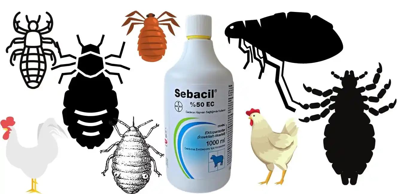 Bit İlacı Kullanımı: Saç Sağlığınız İçin Etkili ve Doğru Rehber