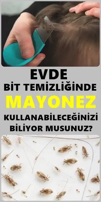 Bit Saçtan Nasıl Çıkar: Etkili Doğal ve Kimyasal Yöntemlerle Bit Tedavi Rehberi