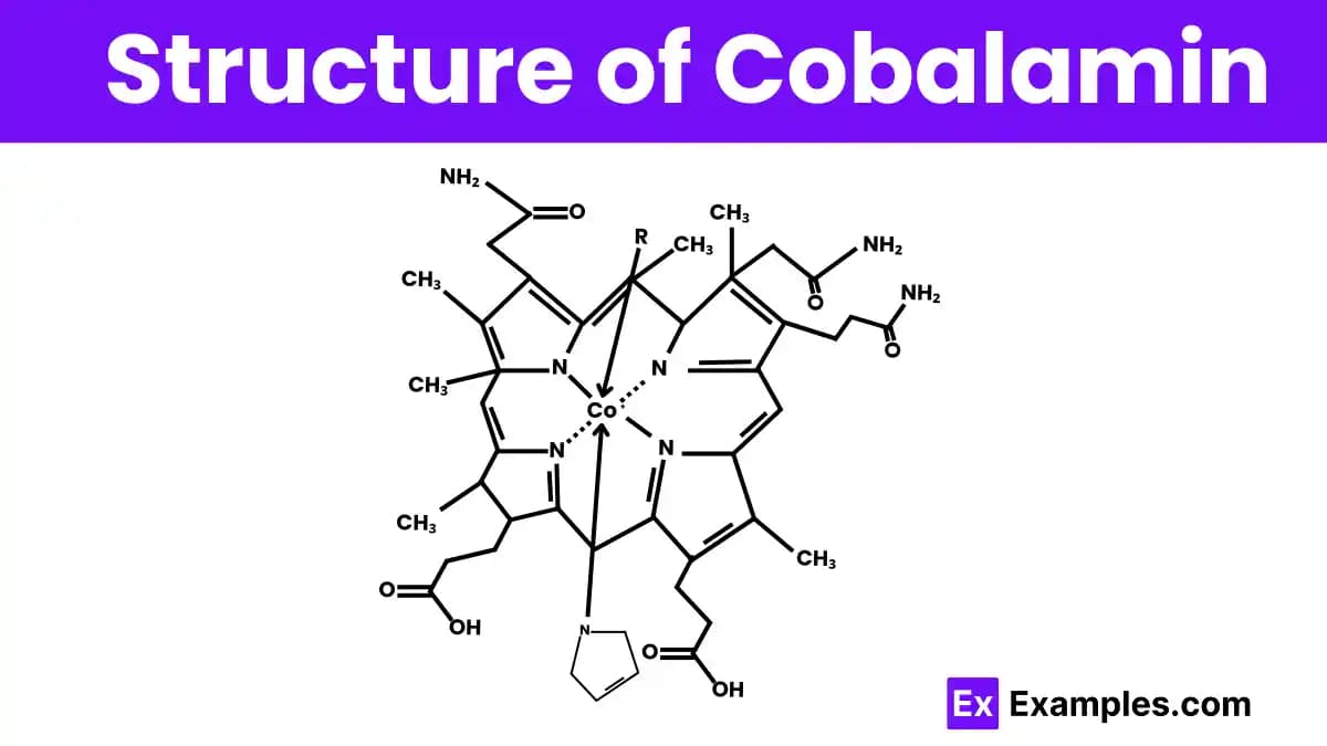 Copalamin: Cilt Yenilenmesini Destekleyen Yenilikçi Kozmetik ve Kişisel Bakım Bileşeni