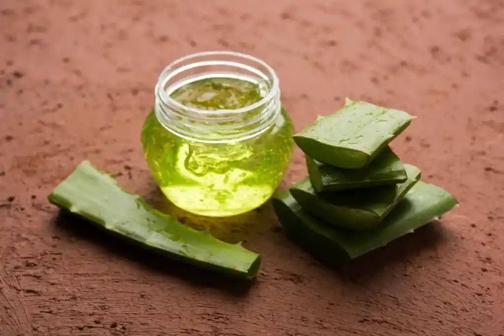 Evde Aloe Vera Jel Yapımı: Doğal Cilt ve Saç Bakımı İçin Pratik Rehber