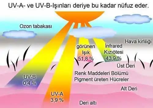 Saçta UV Koruması: Gereklilikler, Ürün Bileşenleri ve Koruma Yöntemleri