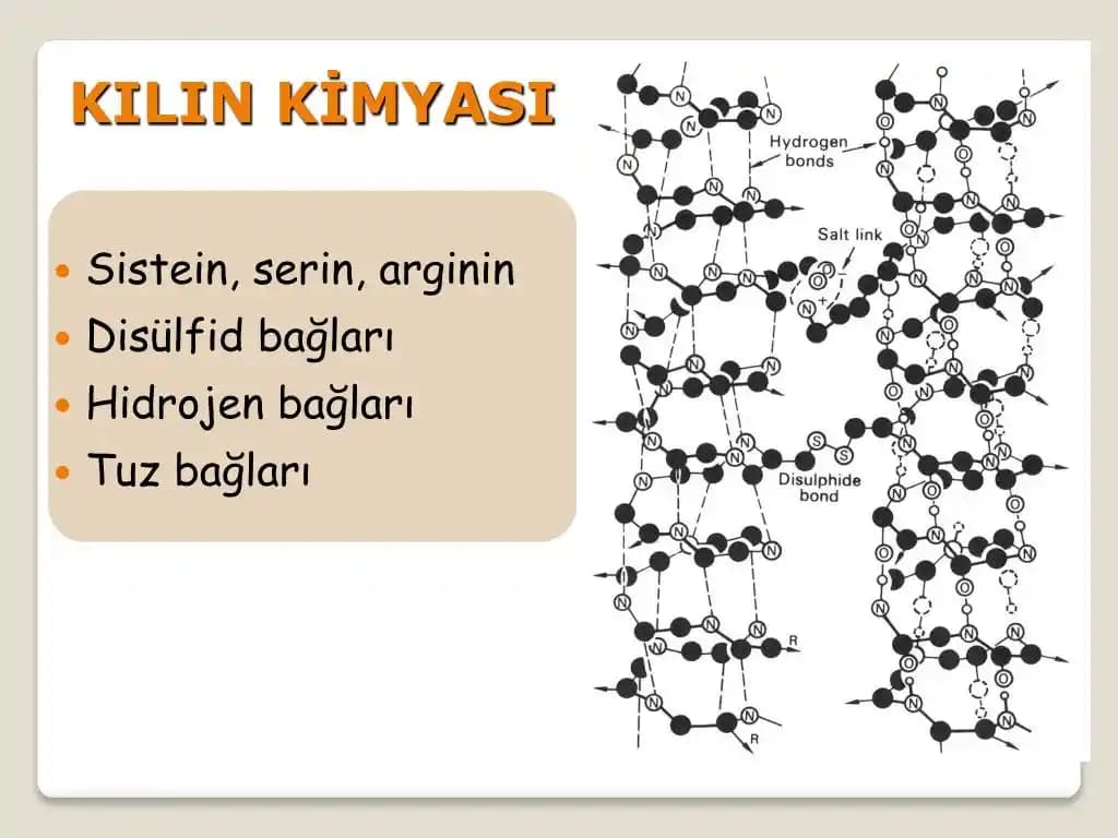 Sitrik Asit, Olaplex ve K18'in Saç Bağlarını Güçlendirme ve Onarma Mekanizmaları