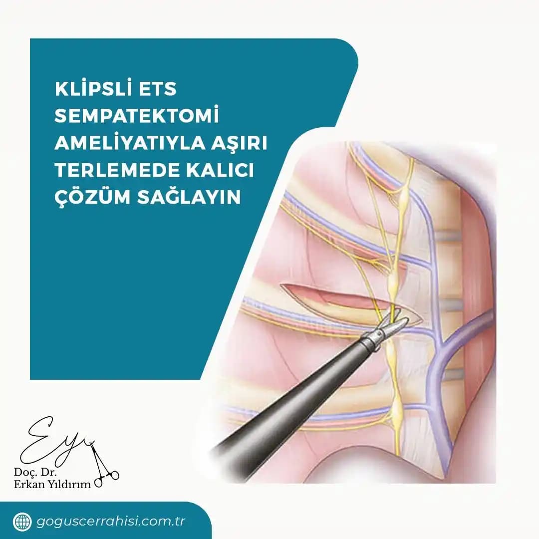 Uzun Süreli ve Dirençli Sırt Aknesi: Nedenleri, Tedavi Yöntemleri ve Uzman Önerileri