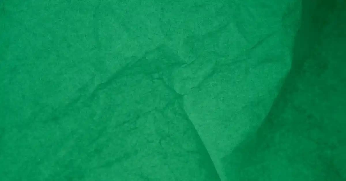 Deve Tüyü Dizliklerin Sağlık ve Estetik Faydaları ile Doğal Isı Koruması