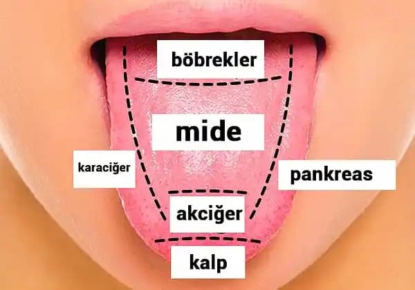 Dilin Üstünün Beyaz Olmasının Nedenleri ve Sağlık Açısından Önemi