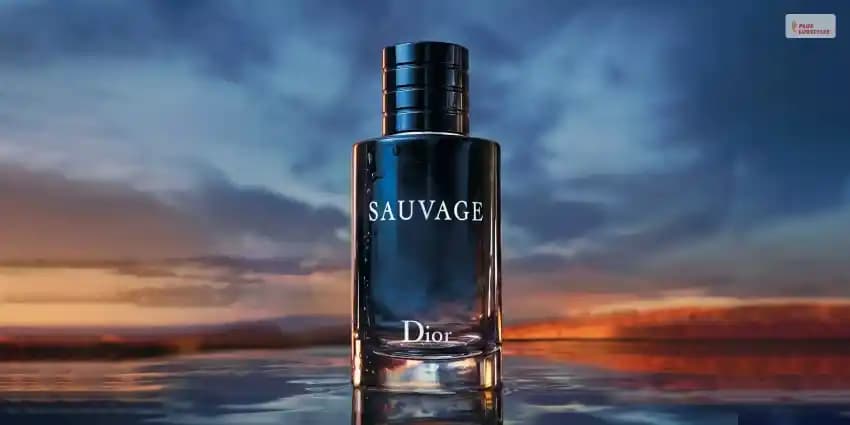 Dior Sauvage Parfümü: Mevsime Uygun Kullanım ve Koku Profili Rehberi