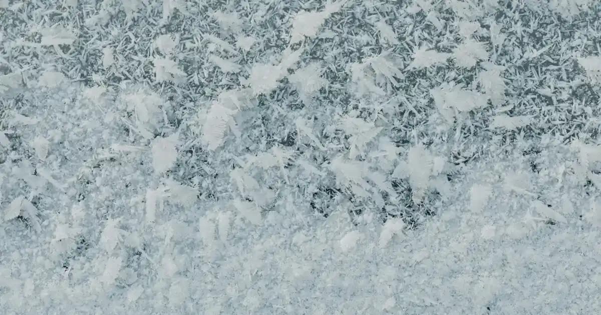 Dövme Yaptırdıktan Sonra Su Teması: Kaç Gün Su Değmemeli ve Doğru Bakım Adımları