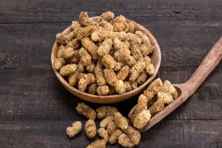 Dut Kurusu Yıkanmalı mı? Doğru Temizlik ve Saklama Yöntemleri ile Sağlık Rehberi