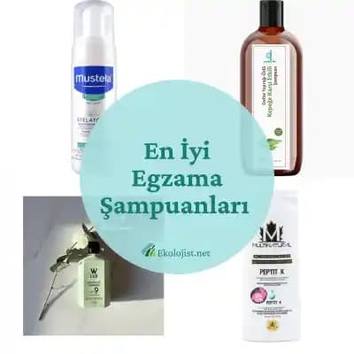 Egzama İçin Şampuan Seçimi: Saç Derisini Rahatlatan Etkili ve Nazik Ürünler