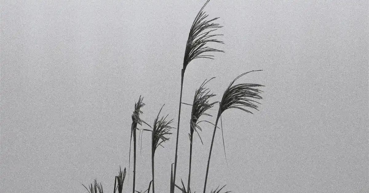 Cilt Sıkılığını Artıran Bilimsel Yöntemler ve Etkili Ürünler Hakkında Kapsamlı Rehber