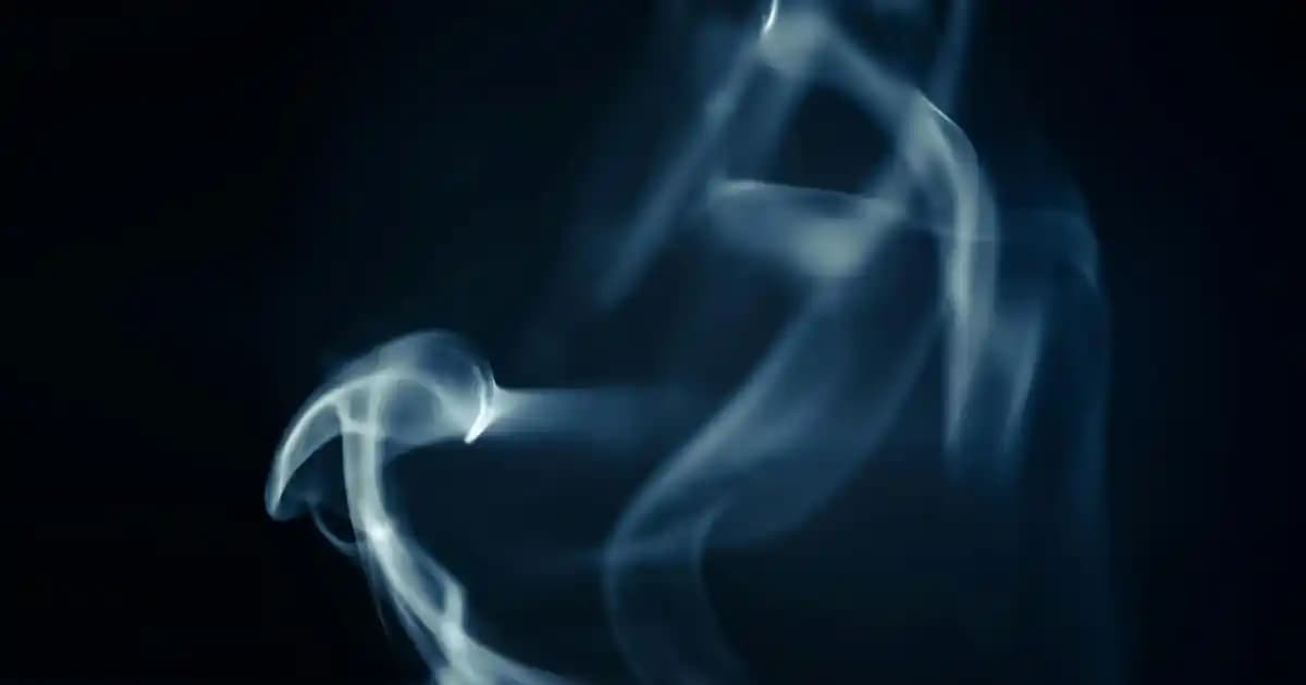 Marc Jacobs Beauty'nin Geri Dönüşü, Lisans Değişikliği ve Piyasa Beklentileri