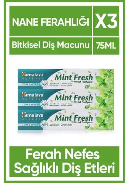 Himalaya Mint Fresh Ferahlatıcı Diş Macunu: Doğal İçeriklerle Ağız Sağlığını Koruma