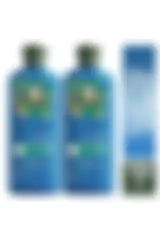 Herbal Essences Onarıcı Argan Yağı Şampuan ile Saçlarınıza Doğal Bir Bakım Sunun