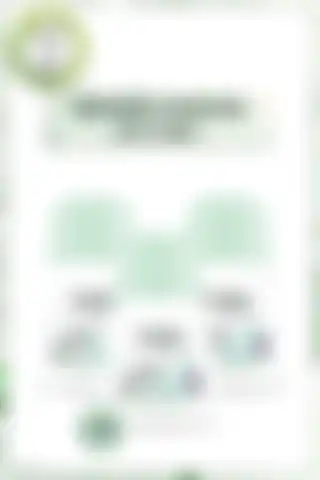 Garnier Mineral Ferah Roll-on Deodorant 3'lü Set İncelemesi: Özellikleri ve Faydaları