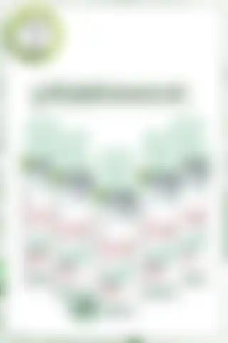 Garnier Mineral Hyaluronik Bakım Sprey Deodorant: Doğal Ferahlık ve Etkili Koruma İçin İdeal Seçim