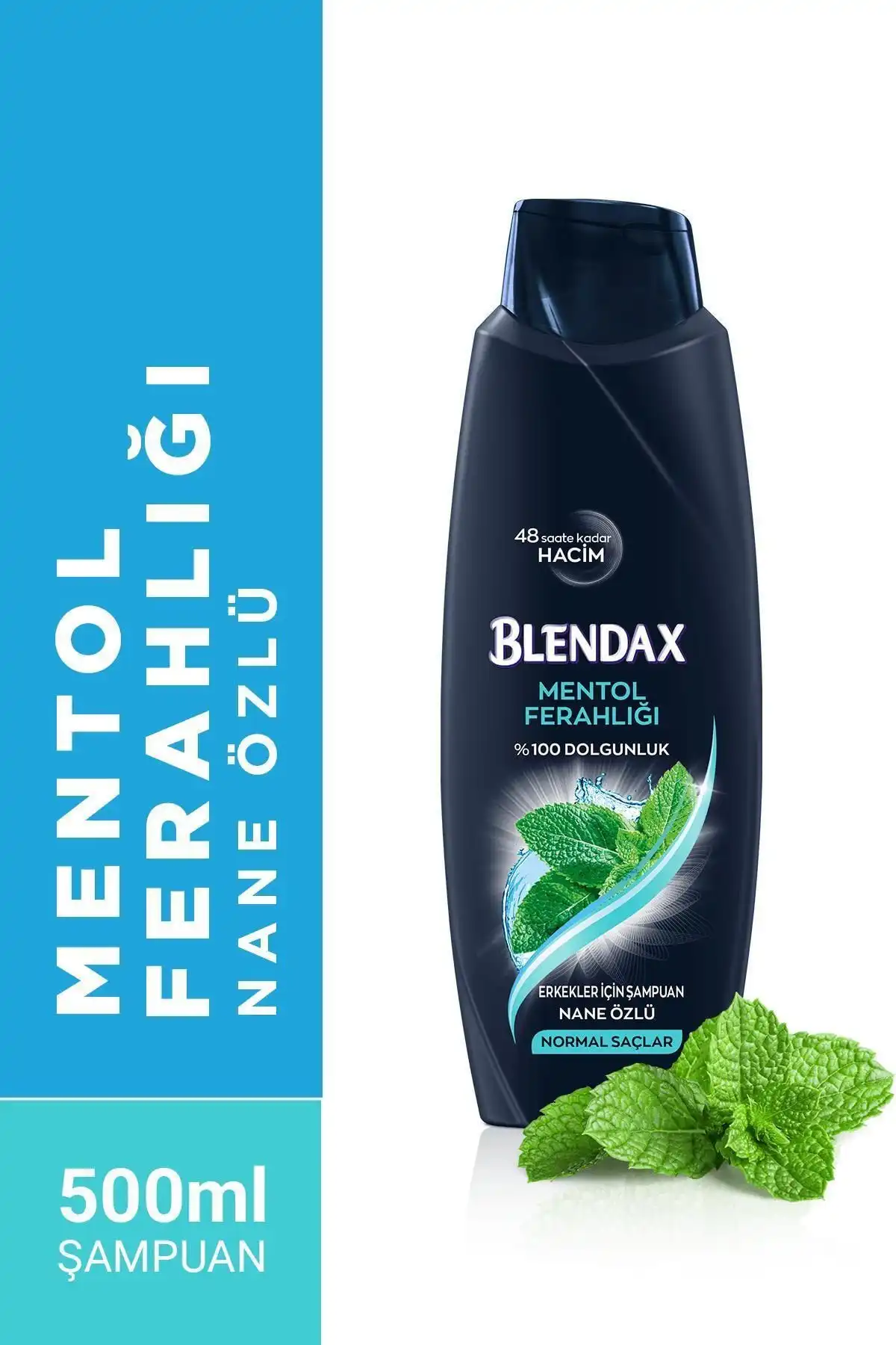 Blendax Erkekler İçin Mentollü Şampuan: Ferahlatıcı ve Hacim Artırıcı Etkileri
