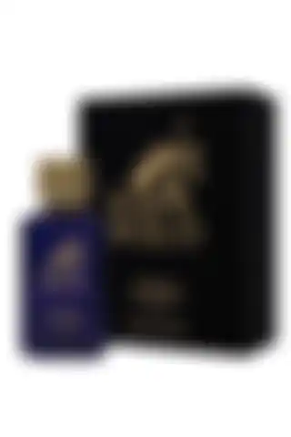 Paul Polo Narkotik Afrodizyak Etkili EDP: 100 ml Erkek Parfüm İncelemesi ve Özellikleri